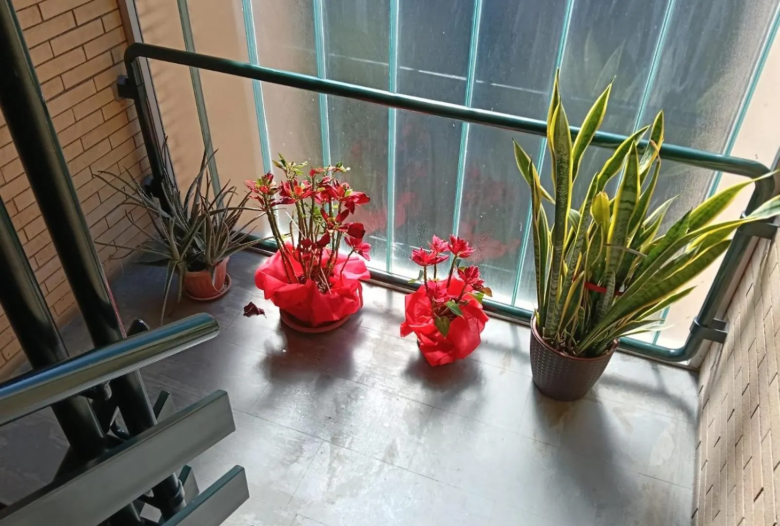 Apartment Yana Apartament Rome
